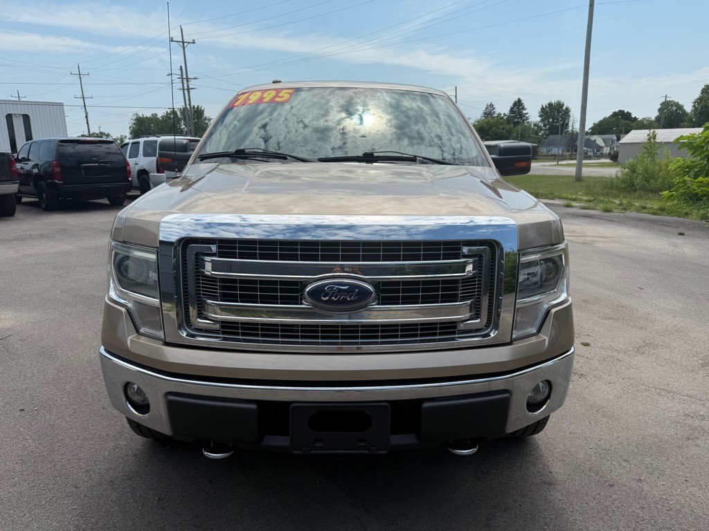 2014 Ford F-150 Image 11