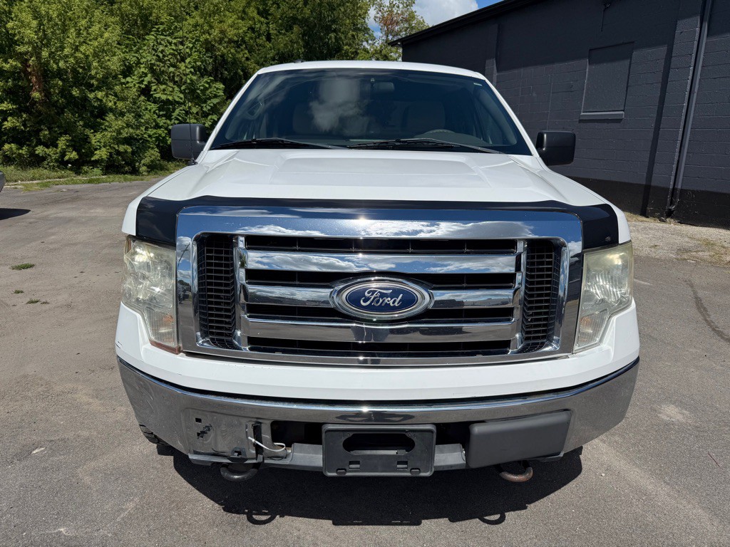 2010 Ford F-150 Image 1