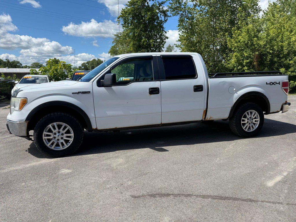 2010 Ford F-150 Image 3