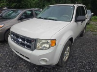 Image for 2011 Ford Escape XLT ID: 6706855