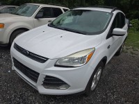 Image for 2014 Ford Escape SE ID: 6731966
