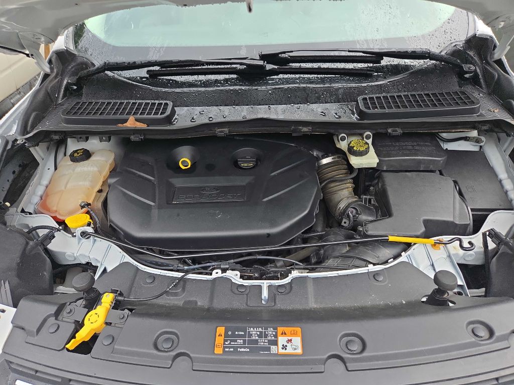 2014 Ford Escape Image 23