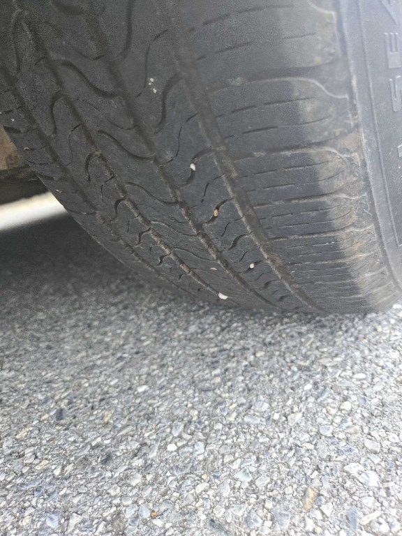 2007 Nissan Altima Image 15