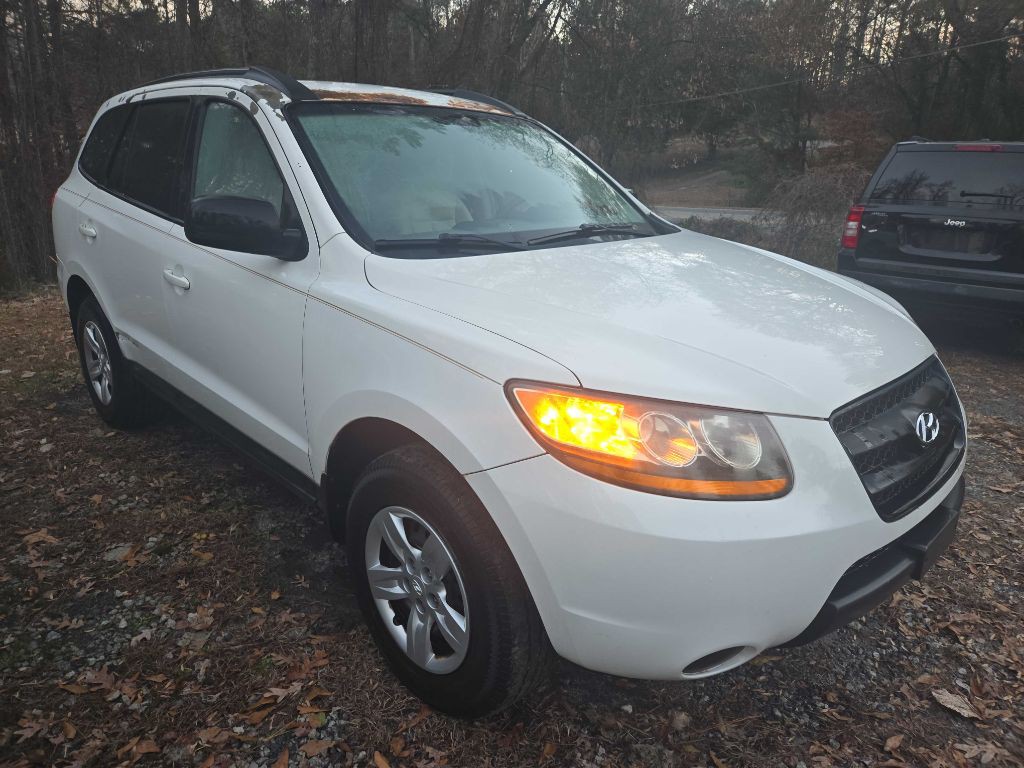2009 Hyundai Santa Fe Image 1