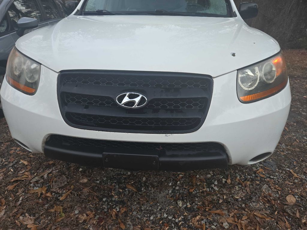2009 Hyundai Santa Fe Image 2