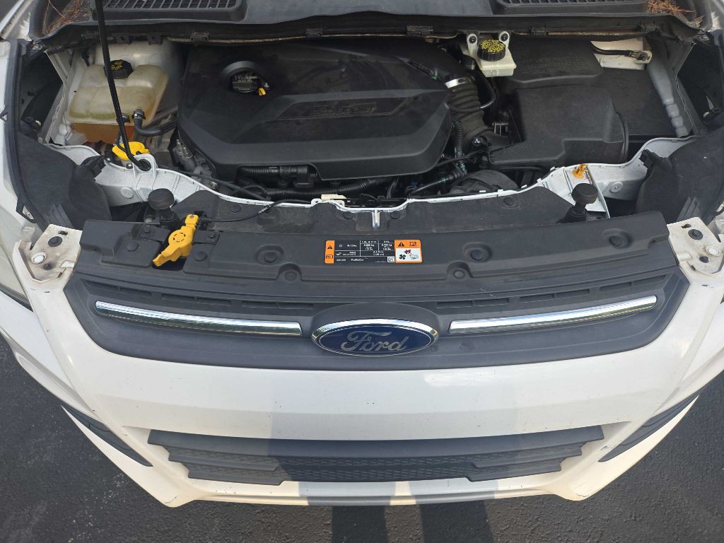 2014 Ford Escape Image 28