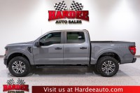 Image for 2024 Ford F-150 STX ID: 6669721