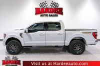 Image for 2023 Ford F-150 Tremor ID: 6708372