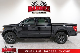 Image for 2023 Ford F-150 XLT ID: 6910815