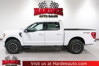 Image for 2023 Ford F-150 XLT ID: 6992834