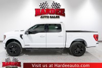 Image for 2023 Ford F-150 XLT ID: 7267573