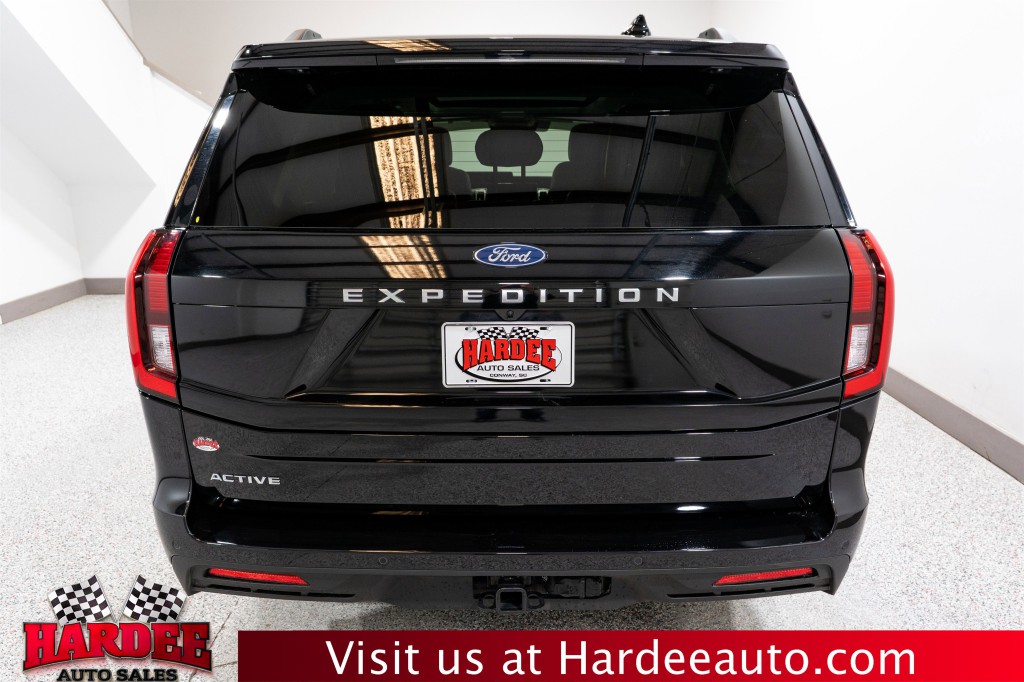 2025 Ford Expedition Image 4