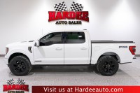 Image for 2023 Ford F-150 Platinum ID: 7392751