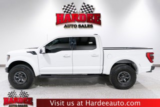 Image for 2022 Ford F-150 Raptor ID: 7445407