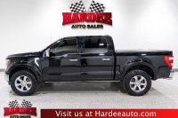 Image for 2023 Ford F-150 King Ranch ID: 7445408
