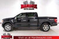Image for 2023 Ford F-150 Platinum ID: 7597660
