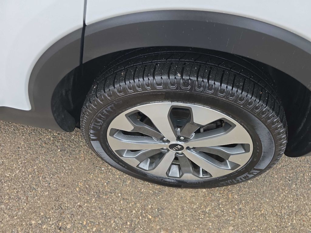 2021 Kia Telluride Image 12