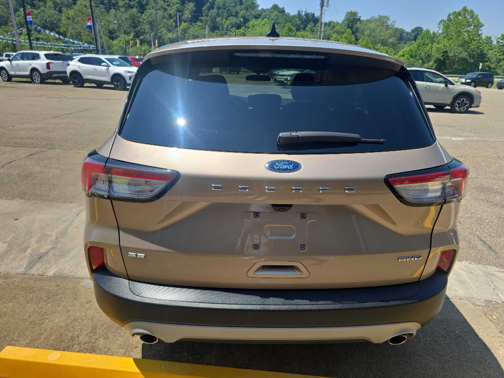 2020 Ford Escape Image 6