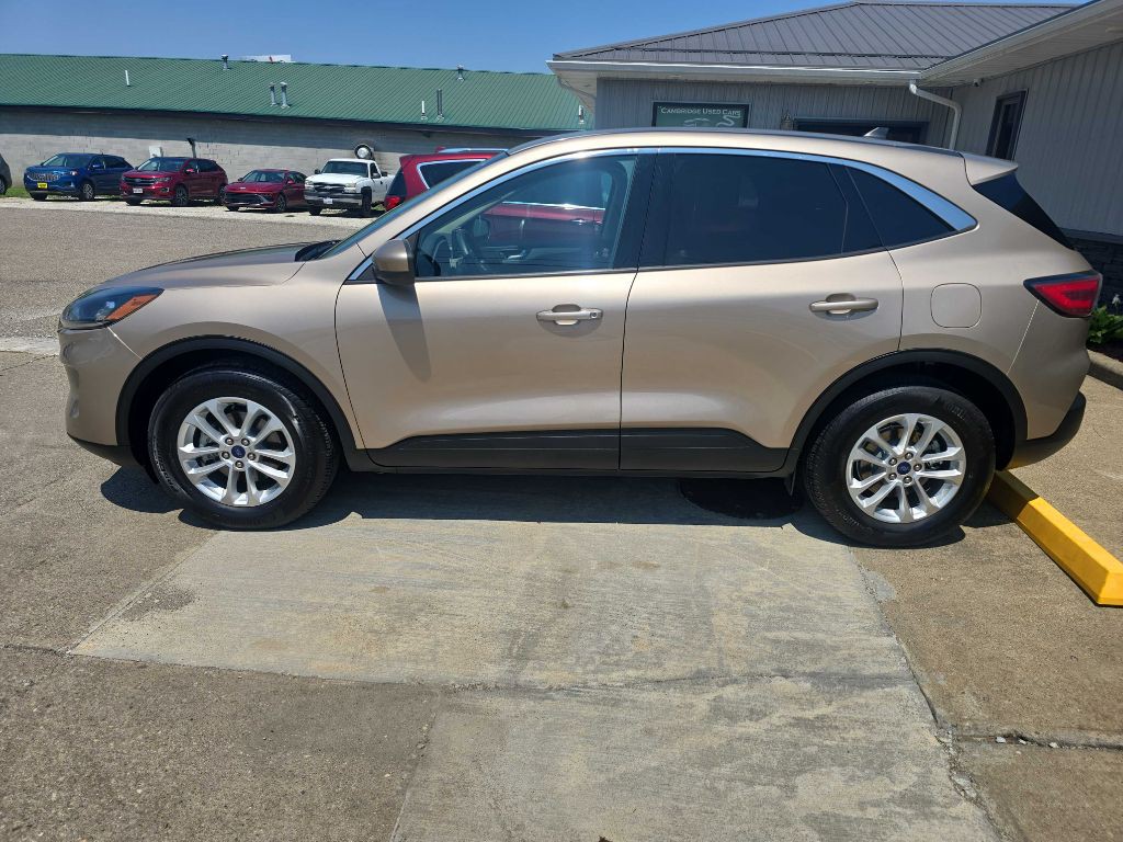 2020 Ford Escape Image 8
