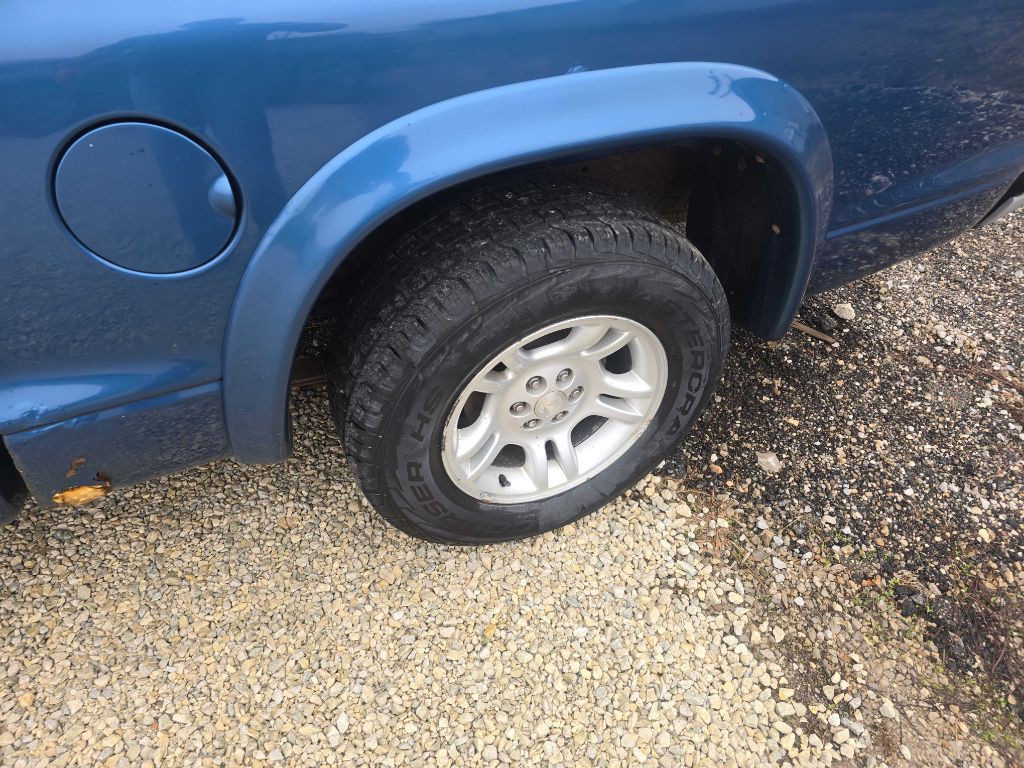 2002 Dodge Dakota Image 8