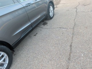 Image for 2024 Ford Edge SEL ID: 7144953