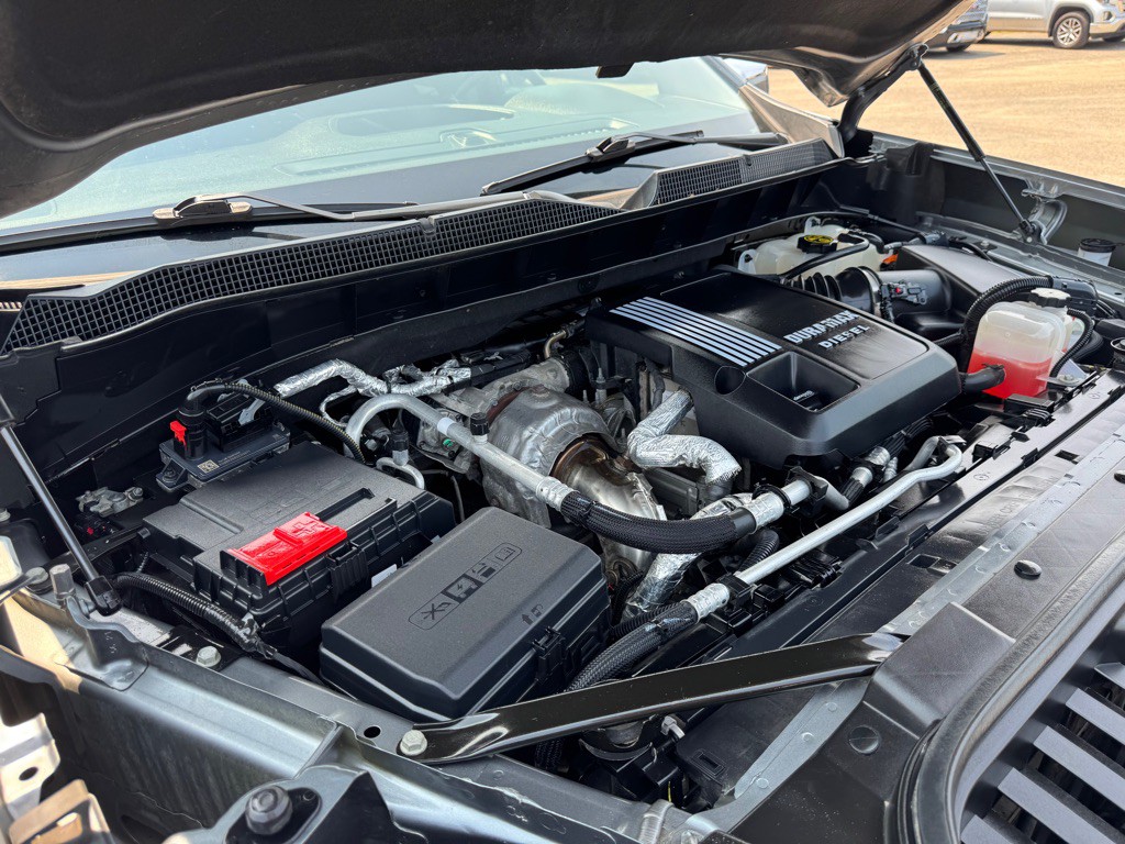 2021 Chevrolet Silverado 1500 Image 66