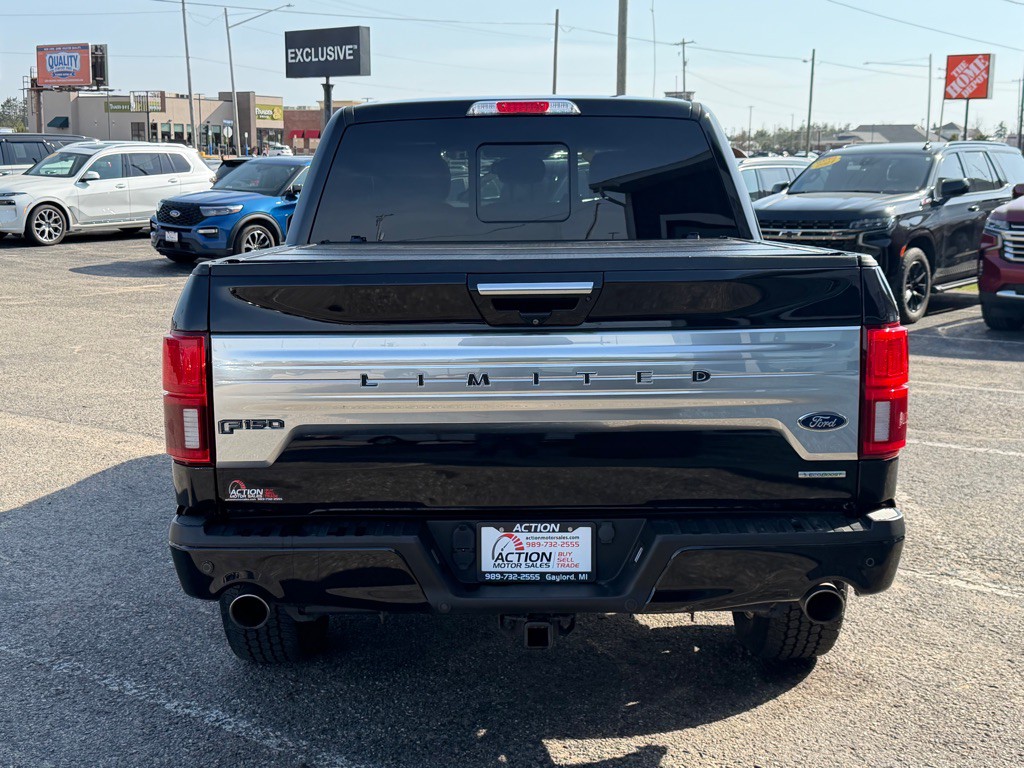 2020 Ford F-150 Image 4