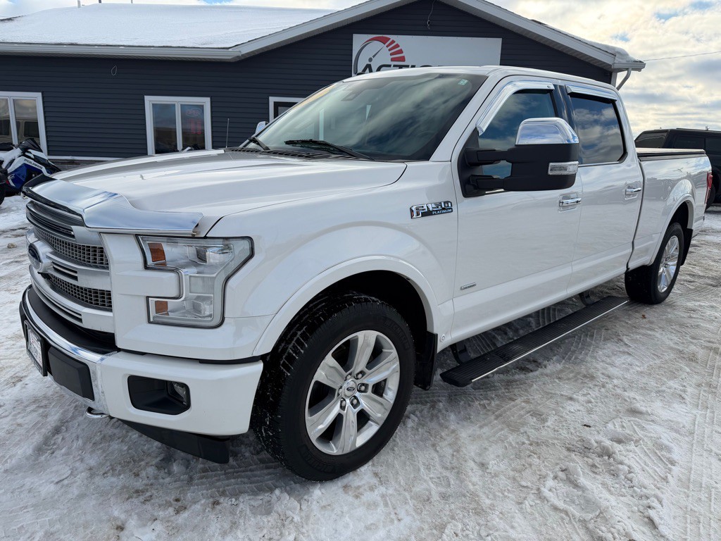 2017 Ford F-150 Image 1