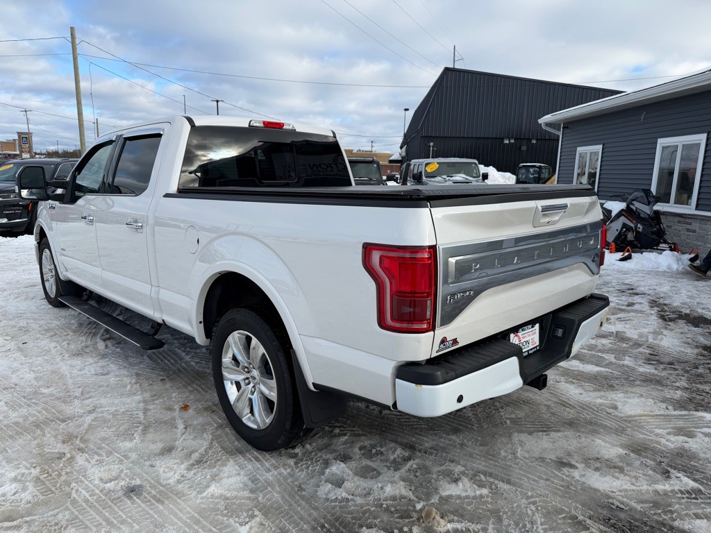 2017 Ford F-150 Image 3