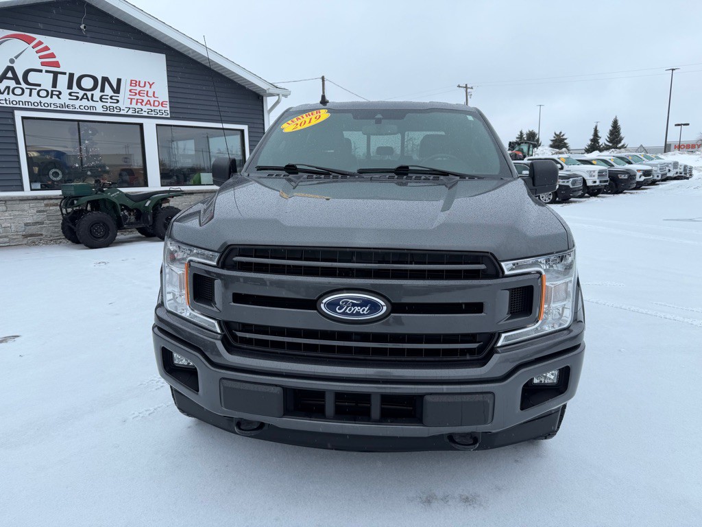 2019 Ford F-150 Image 8