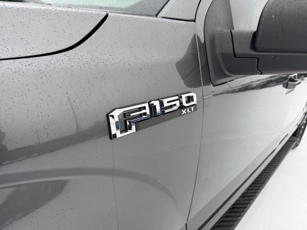 2019 Ford F-150 Image 10