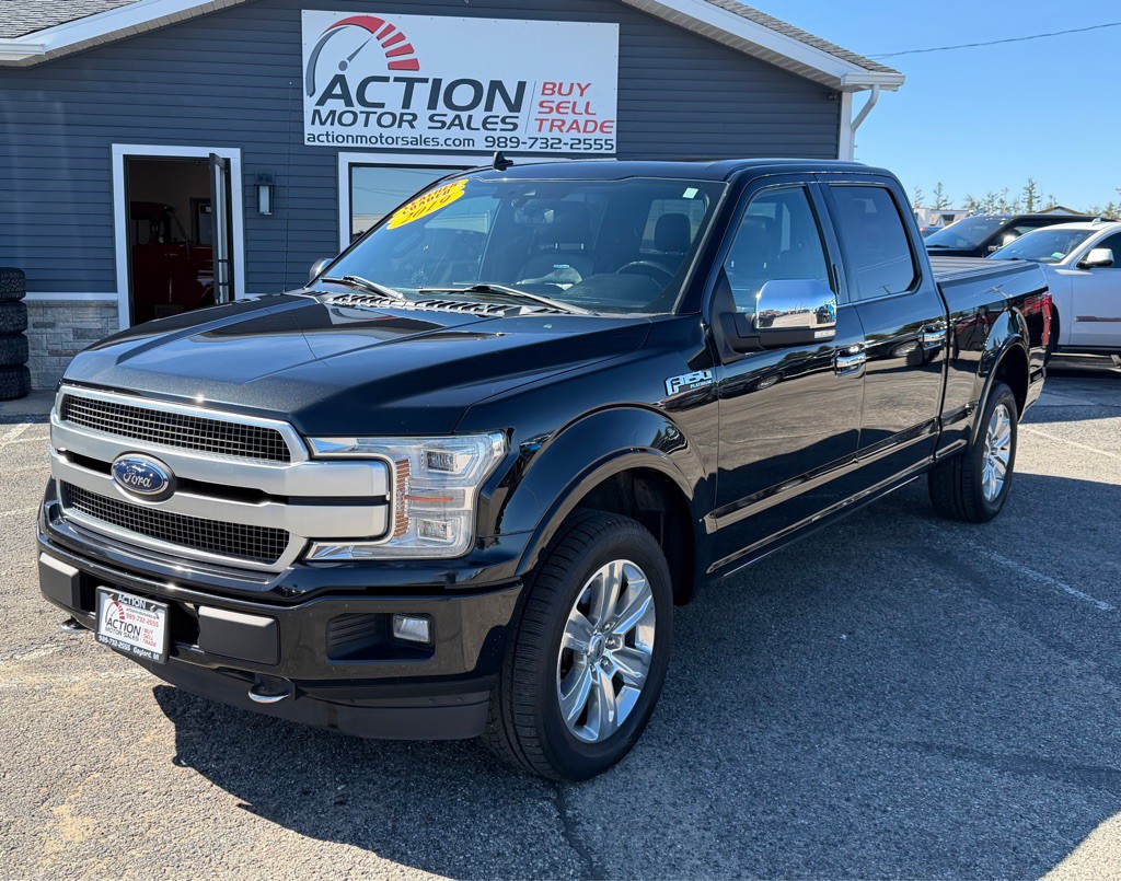 2019 Ford F-150 Image 1