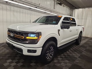 Image for 2025 Ford F-150 Tremor ID: 7316741