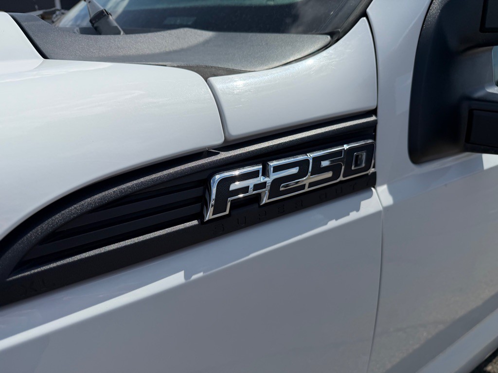 2014 Ford F-250 Image 10