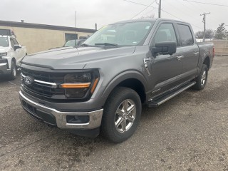 Image for 2024 Ford F-150 XLT ID: 7329665