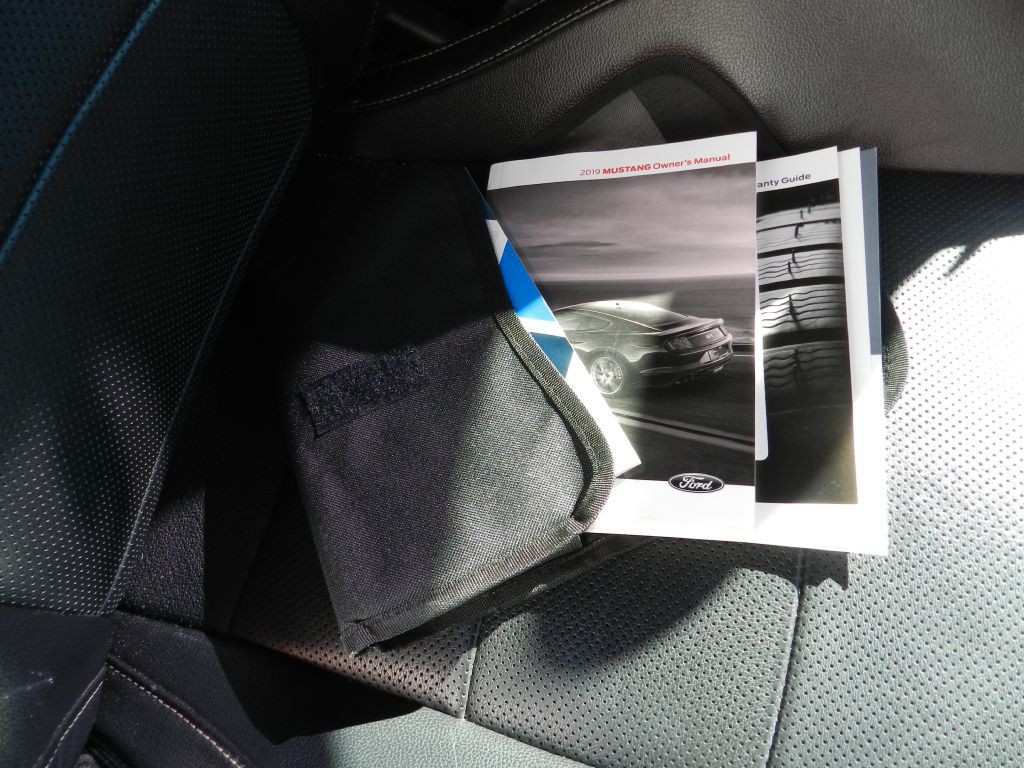 2019 Ford Mustang Image 14