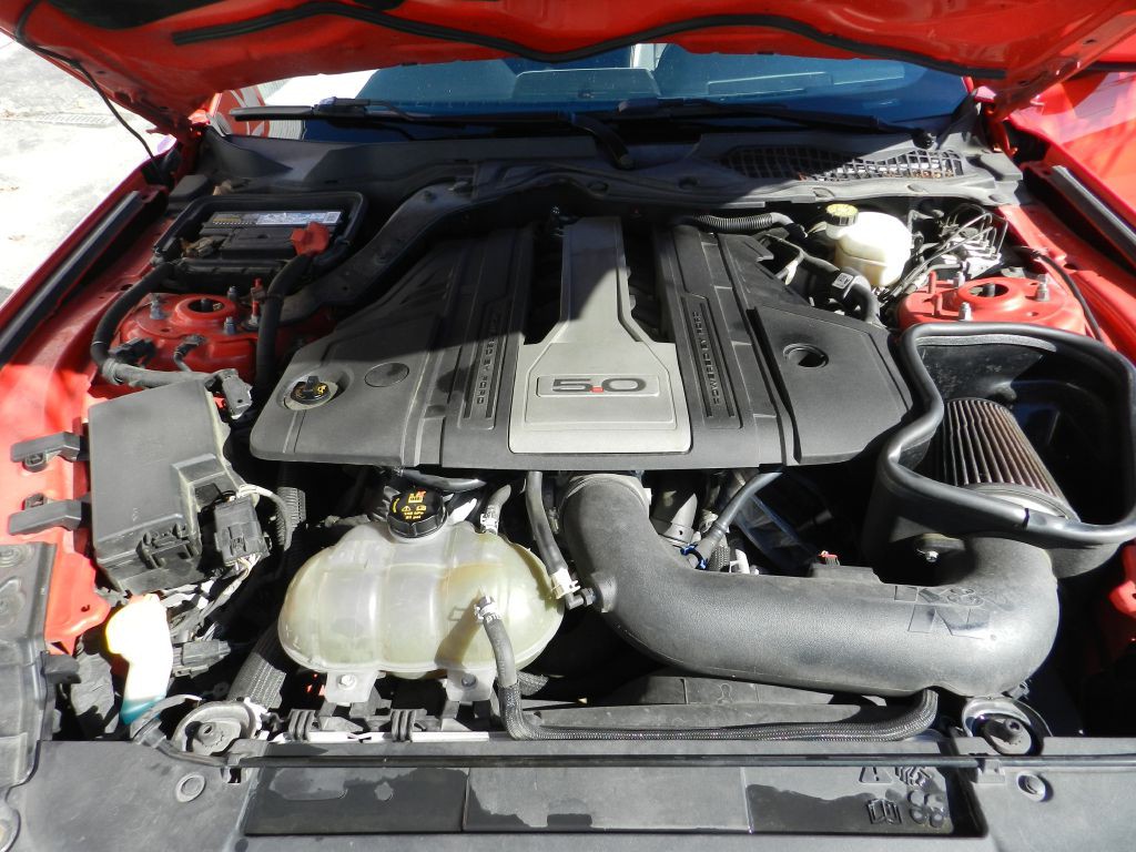 2019 Ford Mustang Image 18