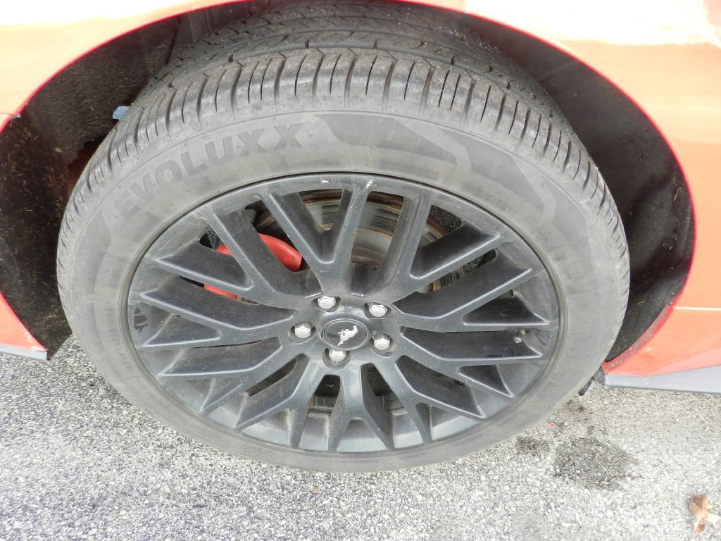 2019 Ford Mustang Image 20