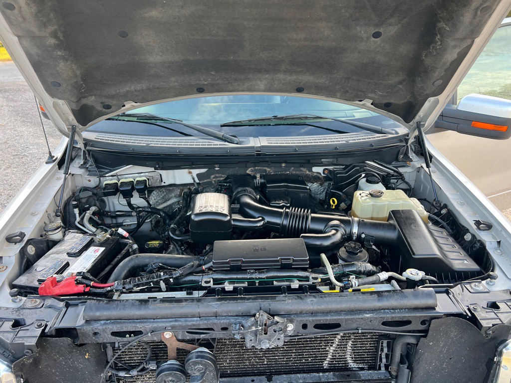 2010 Ford F-150 Image 9