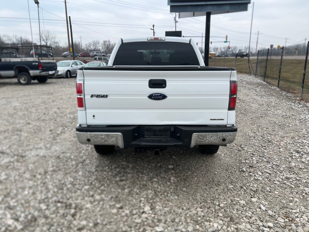 2014 Ford F-150 Image 7