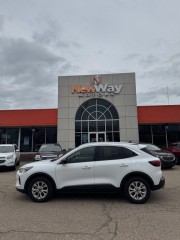 Image for 2023 Ford Escape Active ID: 7226262