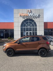 Image for 2018 Ford Econoline SE ID: 7346116