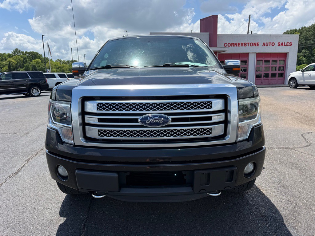 2013 Ford F-150 Image 3
