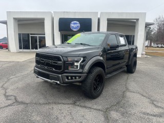 Image for 2019 Ford F-150 Raptor ID: 7225809