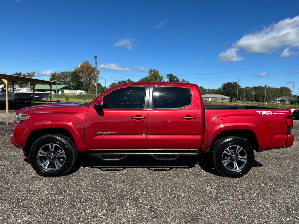 2017 Toyota Tacoma Image 5