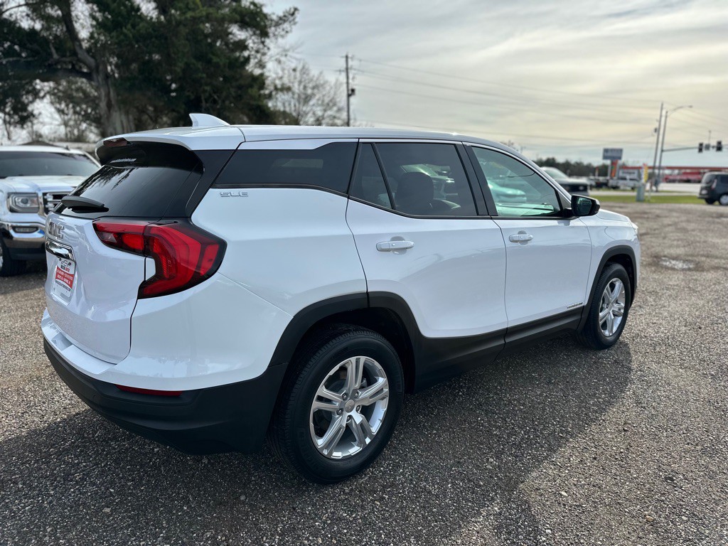 2020 GMC Terrain Image 3