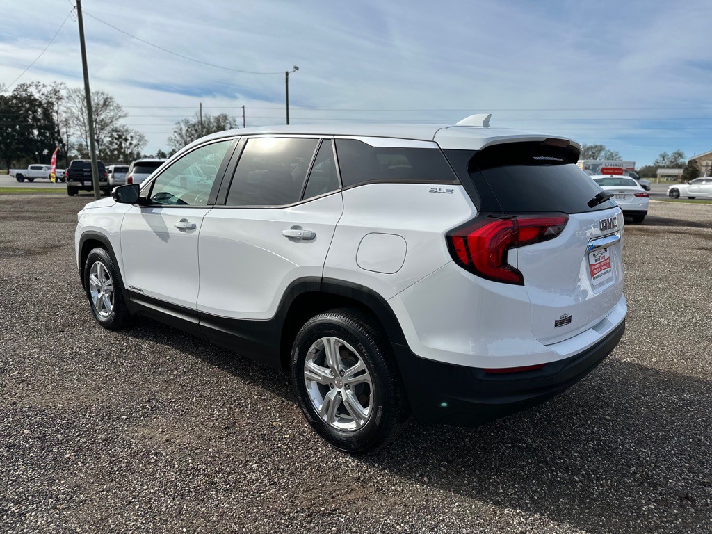 2020 GMC Terrain Image 4