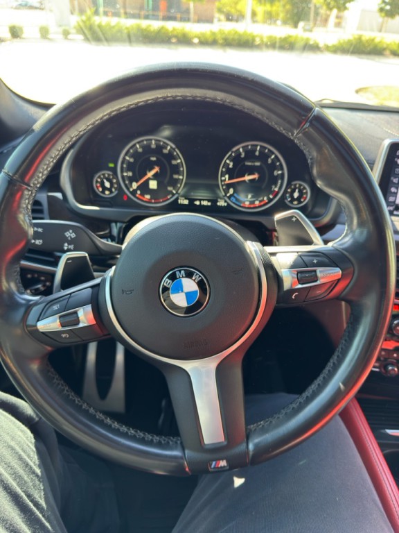 2017 BMW X6 Image 18