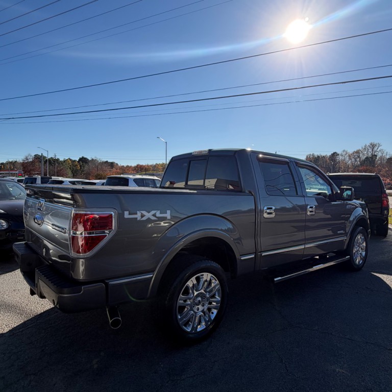 2014 Ford F-150 Image 3