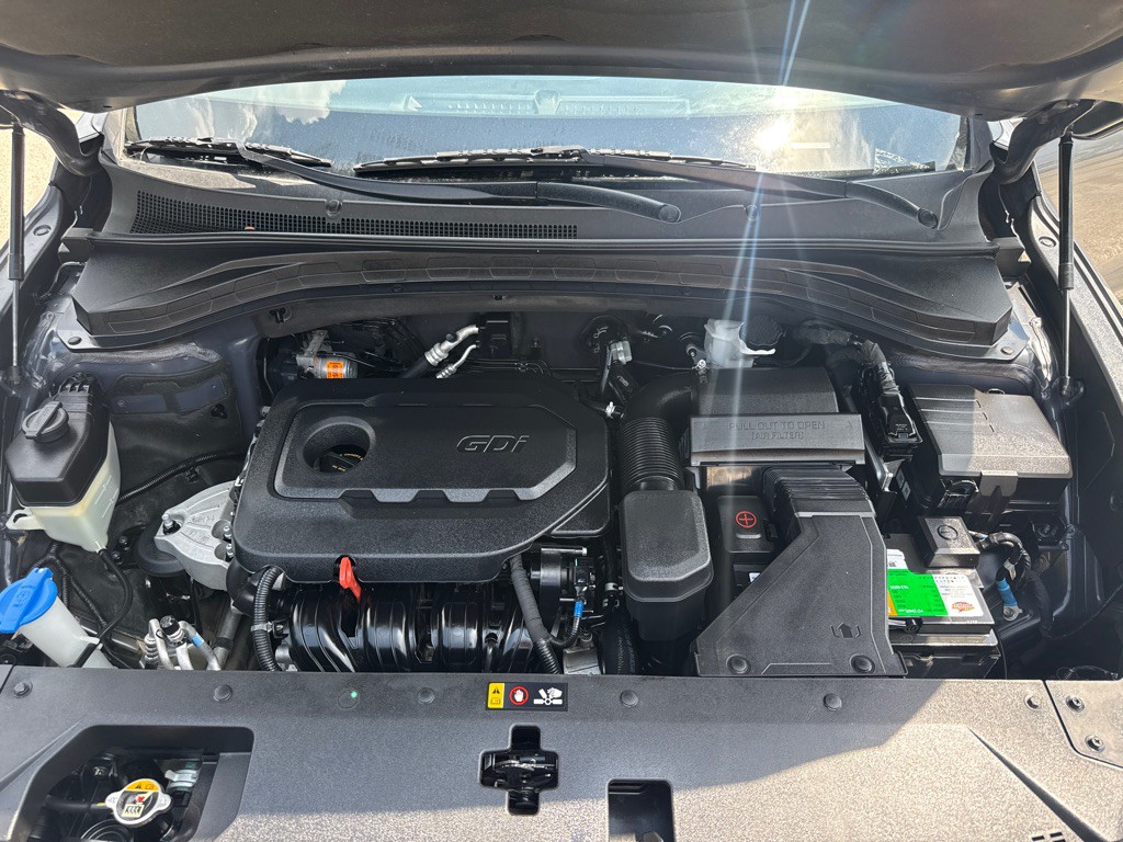 2019 Hyundai Santa Fe Image 19